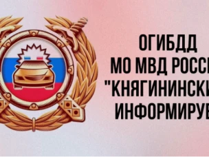 В преддверии нового учебного года с 26 августа по 2 сентября 2024 года на обслуживаемой территории ОГИБДД МО МВД России «Княгининский» проводится информационно-пропагандистская кампания "Скоро в школу".