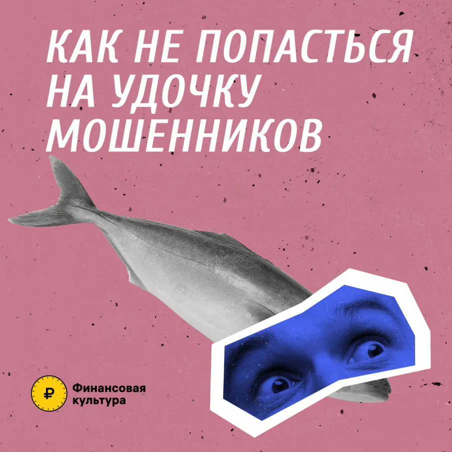 Как не попасться на удочку мошенников